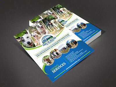 Paws In Motion Pet Services creative creative design flyer designs graphic design graphics postcard postcard design vivekgraphicdesign