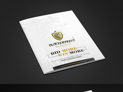 Blackdragon brochure brochure design creative creative design design graphic design graphics vivekgraphicdesign