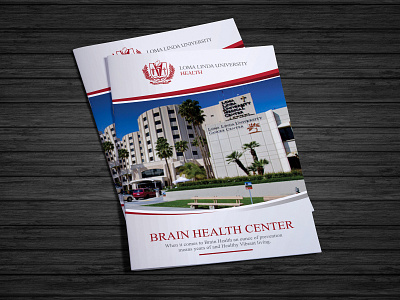 Brain Health Program brochure brochure design creative creative design design graphic design graphics illustration vivekgraphicdesign