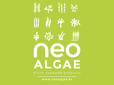 Neo Algae Tshirt Proposal branding flat illustration typography vector