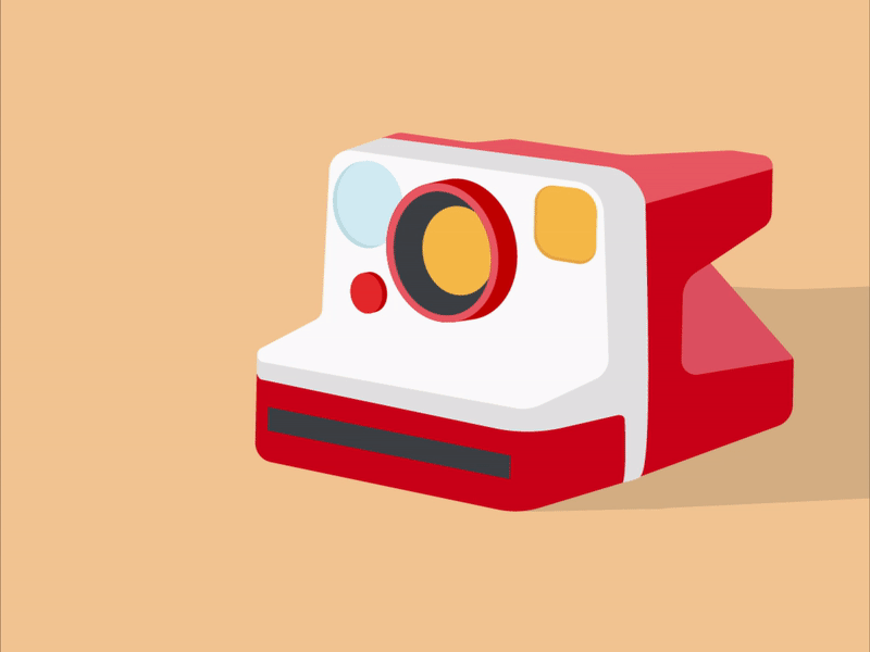 Say Cheese! after effects animation camera cheese illustrator motion graphics photography vec vector illustration