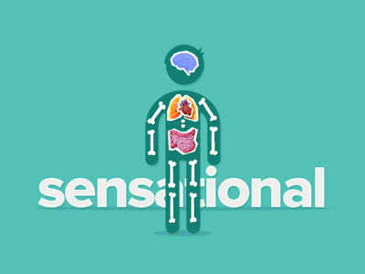 Animated anatomy lesson animation illustration anatomy motion graphics collage proxima nova