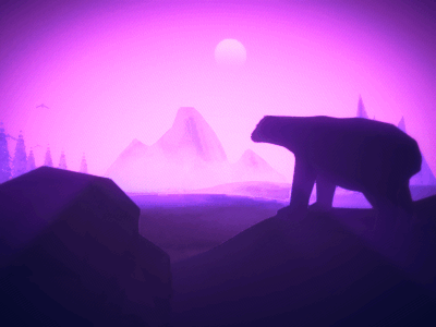 Bear night