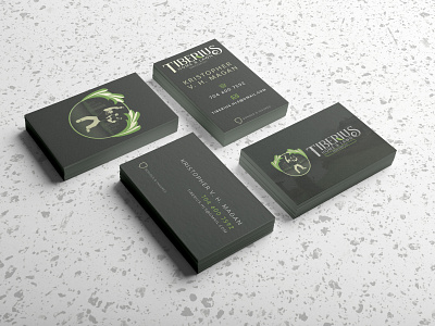 Tiberius Home & Lawn Card businesscard design graphic design graphicdesign illustration illustrator print vector