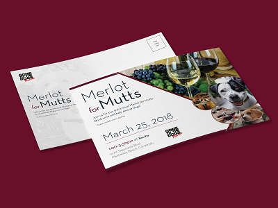 Merlot for Mutts Postcard animals branding design dogs graphic design photoshop social media design socialmedia wine wine bar
