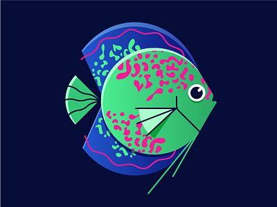 Discus Illustration art fish gillustrations illustration vector