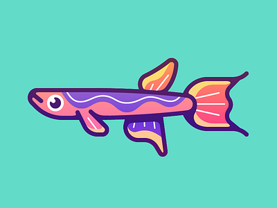 Lyretail Killifish art fish gillustrations illustration
