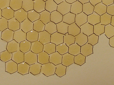 Honeycomb bees honey honeycomb painting watercolor