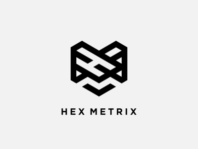 Hex Metrix app design flat icon logo vector