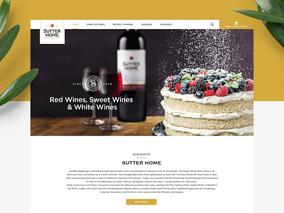 Sutter Home concept minimal ui ux web