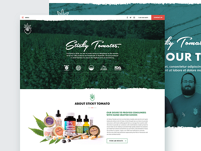 Sticky Tomato Website Design - Home page art branding cbd clean ui concept creative design creative direction design farm flat fun illustration minimal ui ux web website