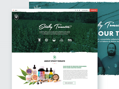 Sticky Tomato Website Design - Home page
