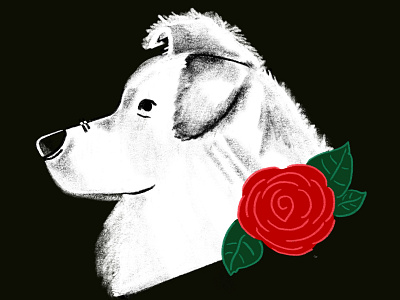 Deaf Dogs of Oregon - Profile 1 animals digital illustration dogs drawing illustration portrait