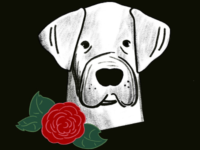 Deaf Dogs of Oregon - Profile 2 animals digital illustration dogs drawing illustration oregon portland portrait
