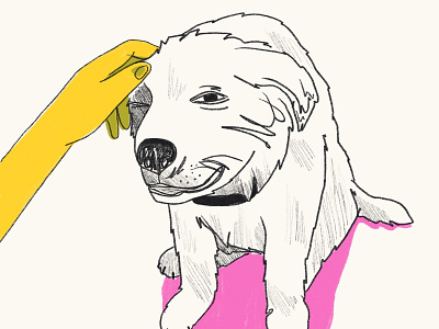 Thanks Dogs animals digital illustration dogs drawing illustration portrait thanks thankyou