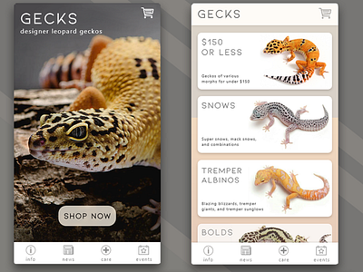 Gecko Marketplace App app app concept branding design gecko reptile ui ui design uiux ux