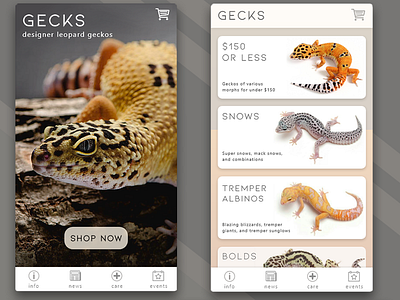 Gecko Marketplace App