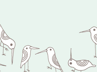 made up birds