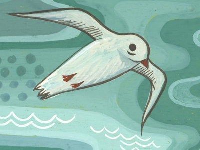 tiny seagull painting bird gouache hand painted illustration miniature nature painting seagull