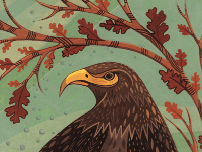 eagle eyed animal bird eagle hand painted illustration painting