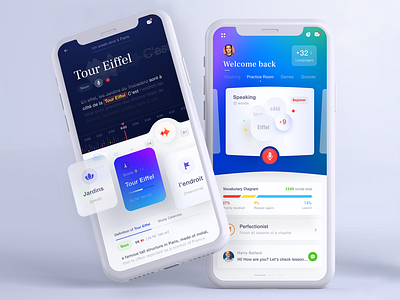Language Learning Application Mobile App: iOS Android UI