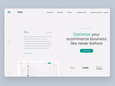 SaaS E-Commerce Marketing Website