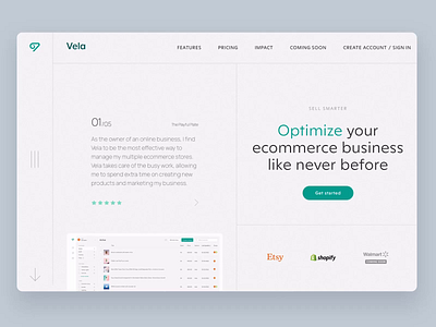 SaaS E-Commerce Marketing Website