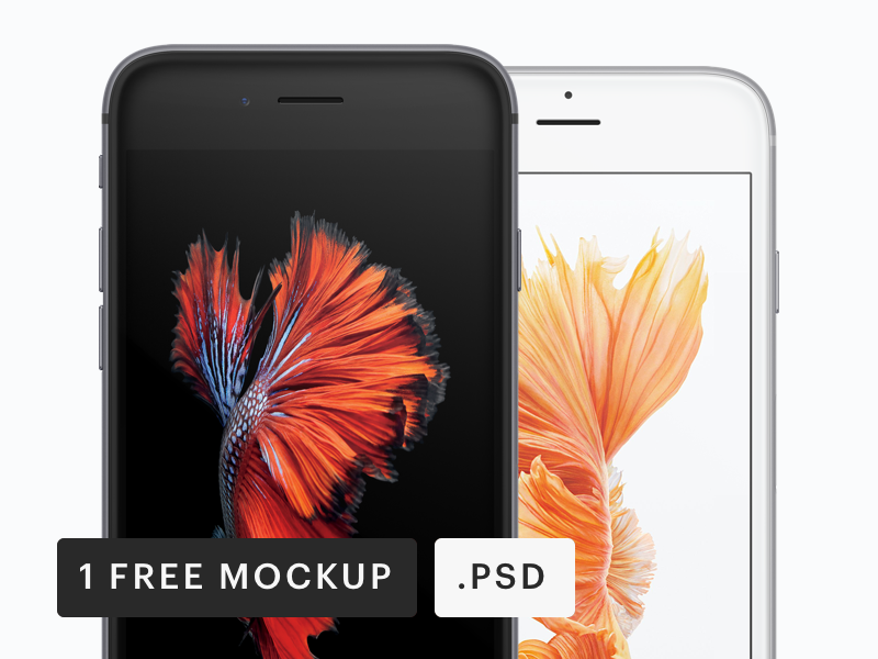 Iphone 6 free mockup psd