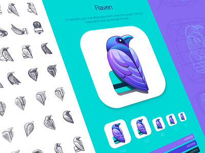 Raven Product Identity Design