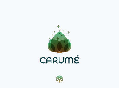 Carum Logo apothecary cancer care center centre charity chiropractic clinic consultant doctor drug health healthcare hospital life medical medicine nurse nutrition organization