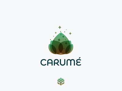Carum  Logo