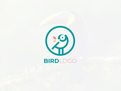 Bird Logo bird logo humming bird logo modern natural