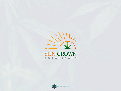 Sun Grown Botanicals Marijuana products design agency beauty branding business clean design leaf logo marijuana mark medicine minimal sun unique logo