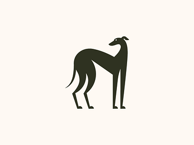 Greyhound