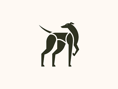 Greyhound