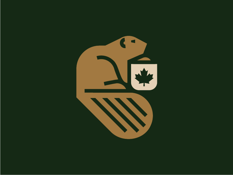 Canadian Beaver by Sandro laliashvili on Dribbble