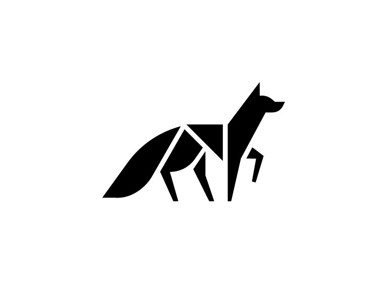 Fox by Sandro laliashvili on Dribbble