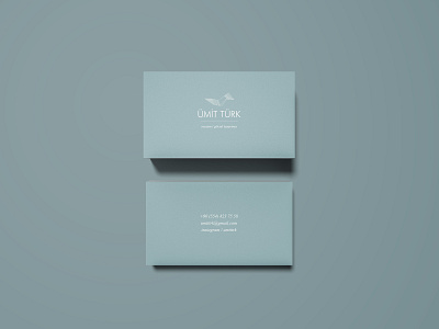 ÜMİT TÜRK / LOGO & BUSINESS CARD DESIGN business card design designer icon logo minimal painter