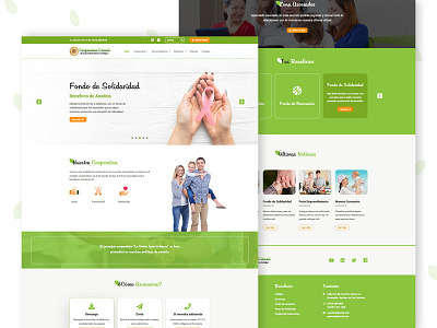 Citicali - Web Design design