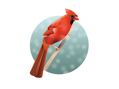 Cardinal bird cardinal color gradient illustration snow