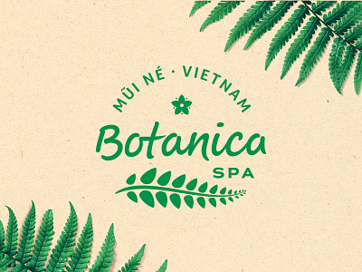 Logo redesign lettering logo spa vector vietnam