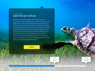 Daily UI 032: Crowdfunding Campaign 032 aqua blue campaign crowdfunding crowdfunding campaign dailyui dailyui032 dailyuichallenge design fundraising ocean sea sketch turtles ui uidesign website yellow