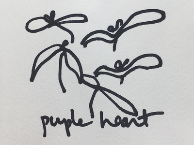Purple Heart handdrawn illustration plants promnightfistfight sharpie