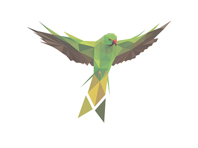 Polygonal Parrot