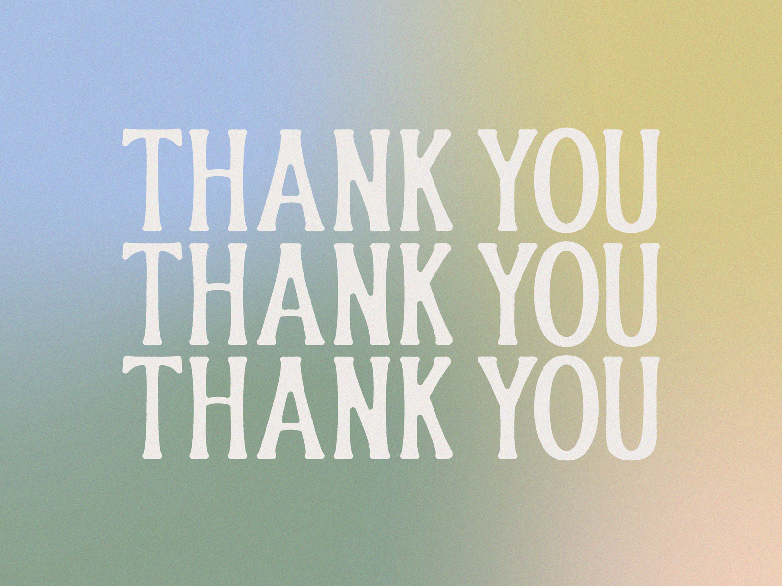 Thank You MBB! by Hannah Wexler on Dribbble