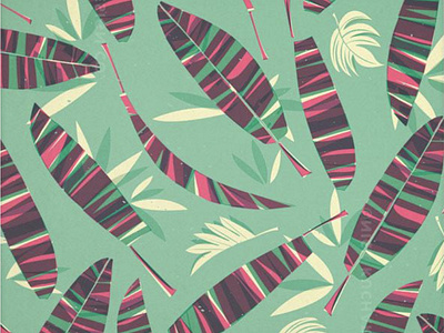 Olukai Shoe Pattern canoe plant feather hawaii illustration leaf pattern pattern design plant