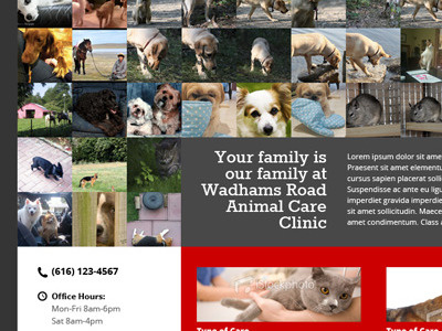 Vet Site Homepage