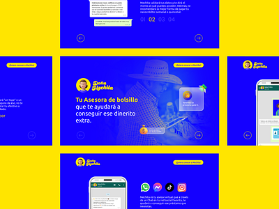 Finance Platform - Doña Mechita branding finance ui ui kit website website design