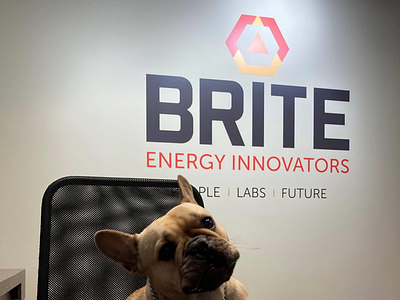 Brite dog logo