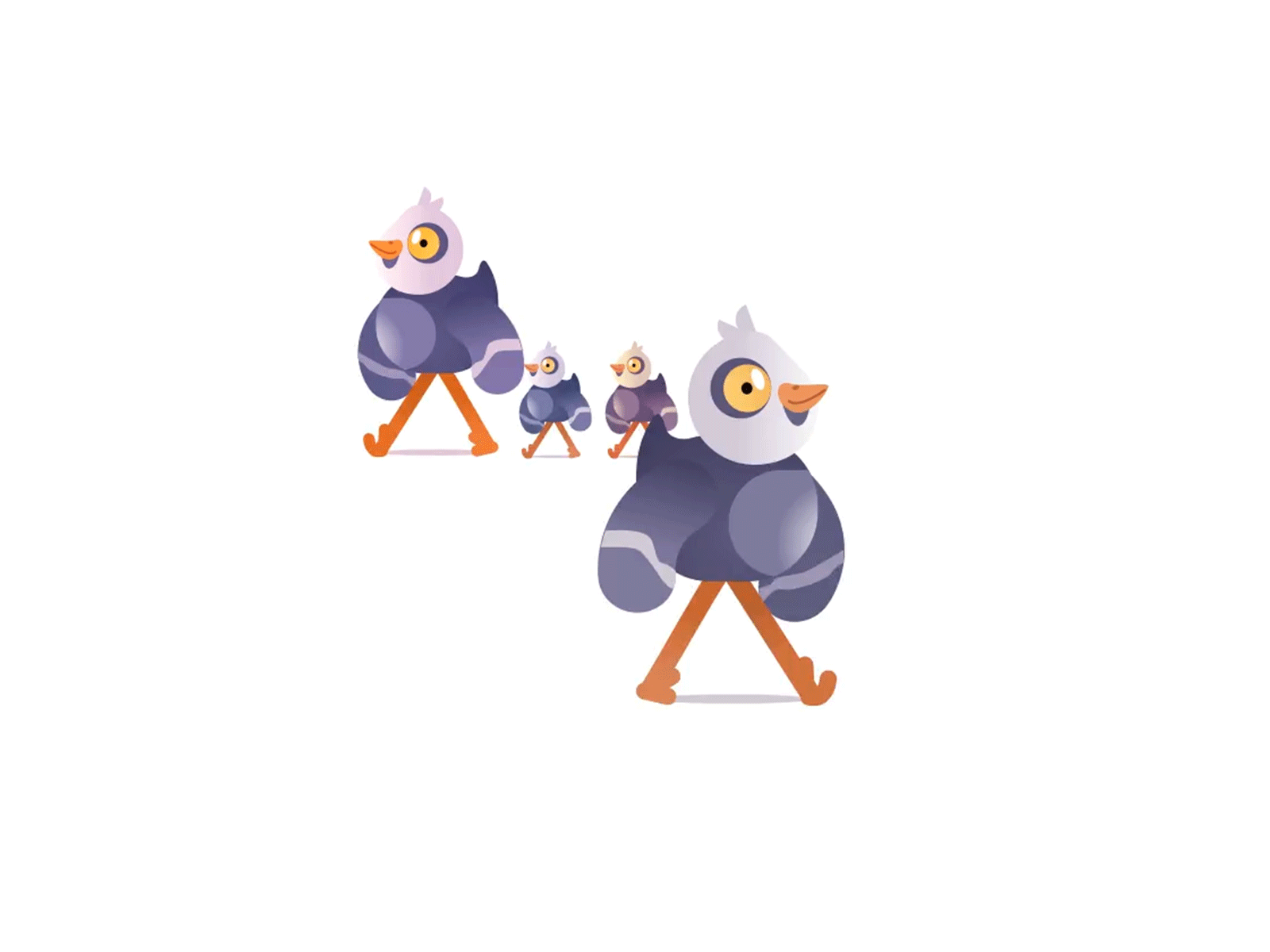 Walking Pigeon